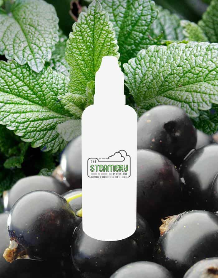 THE STEAMERY - COOL CURRANT - 30ML