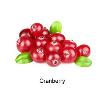 VAPELF – CRANBERRY – CONCENTRATED FLAVOURS – 10ML